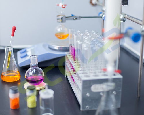 食品分子生物學實驗室常用儀器，科學實驗玩具升級玩法